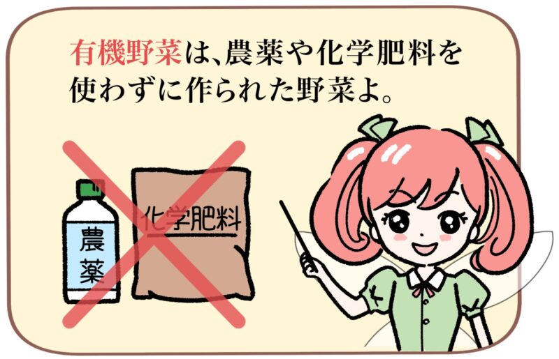 「有機野菜は、農薬や化学肥料を使わずに作られた野菜よ。」と説明する菜々ちゃん。農薬と化学肥料にバツ印が付いているイラストを指差し棒で示す菜々ちゃんのイラスト。