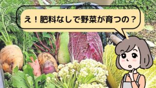 【マンガ入り】自然栽培とは？購入するメリット・デメリットも分かりやすく解説 