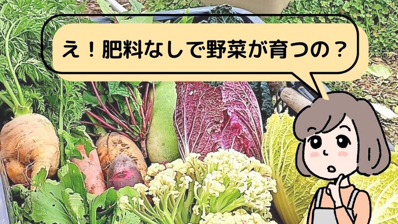 【マンガ入り】自然栽培とは?購入するメリット・デメリットも分かりやすく解説