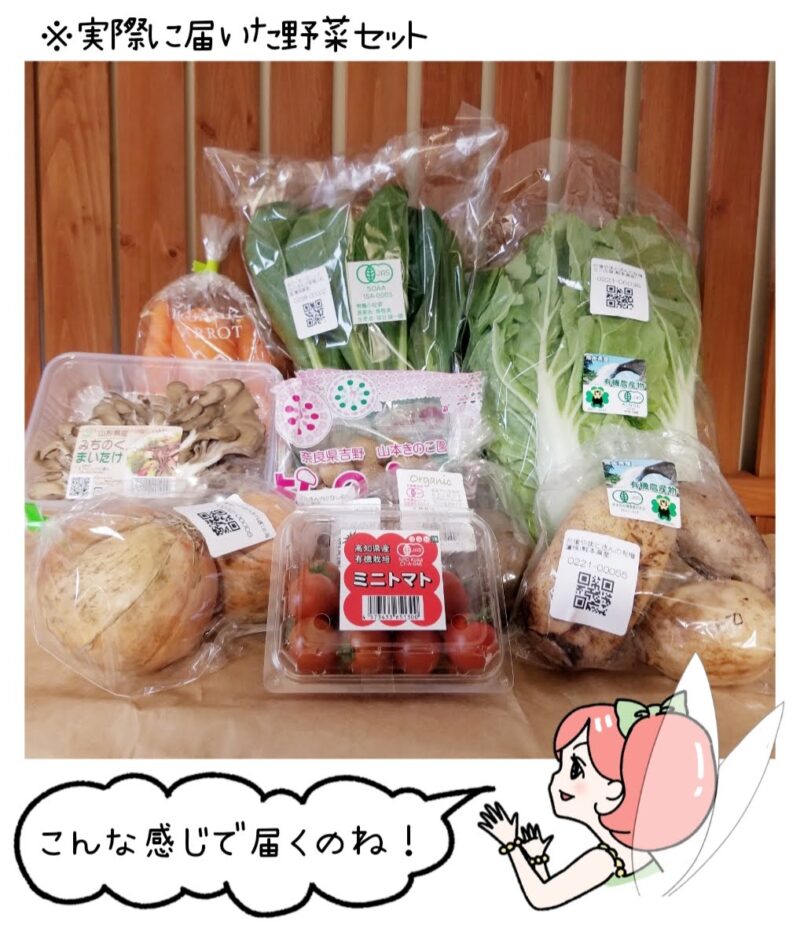 実際に届いたココノミの野菜セットの画像。それを見ながら「こんな感じで届くのね！」と言っている菜々ちゃんのイラスト。