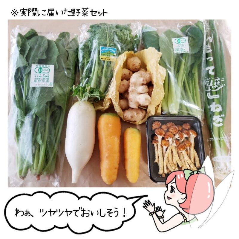 実際に届いた坂ノ途中の野菜セットの画像。それを見ながら「わぁ、ツヤツヤでおいしそう！」と言っている菜々ちゃんのイラスト。