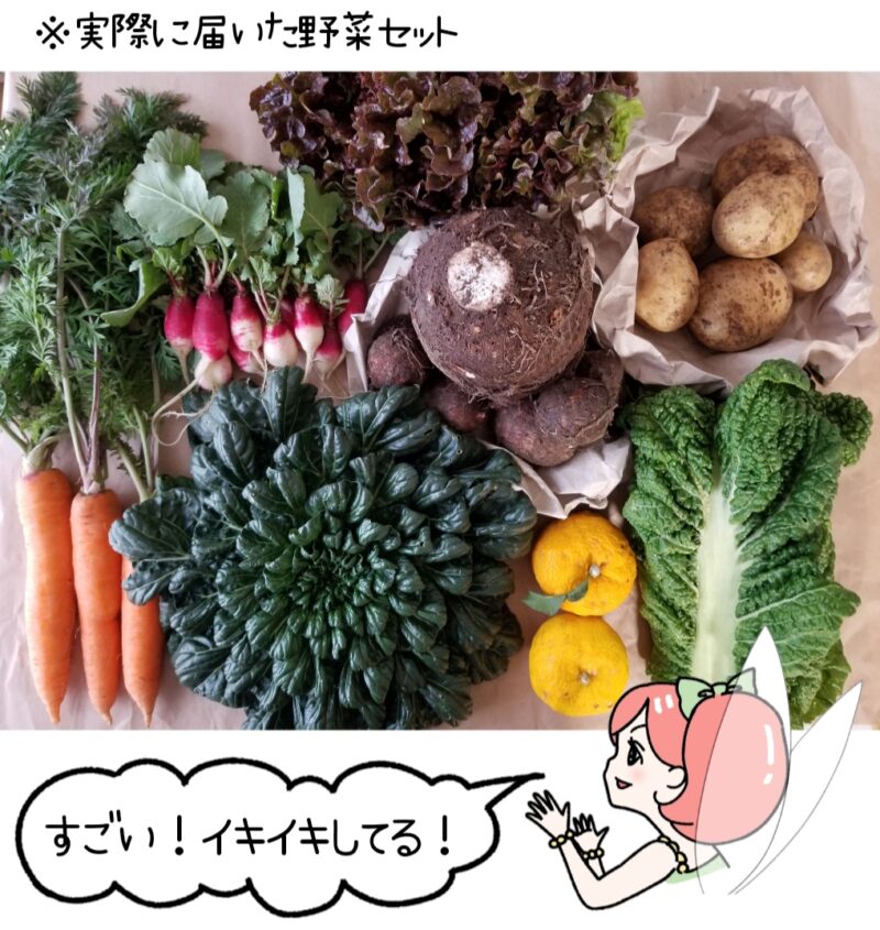 食べチョクから実際に届いた野菜セットの画像とそれを見て「すごい！イキイキしてる！」と笑顔の菜々ちゃんのイラスト。