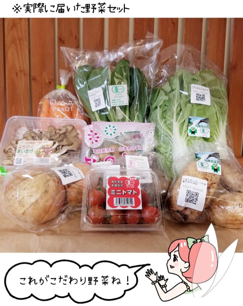 実際に届いた野菜セットの画像。それを見ながら菜々ちゃんが「これがこだわり野菜ね！」とコメントを言うイラスト付き。