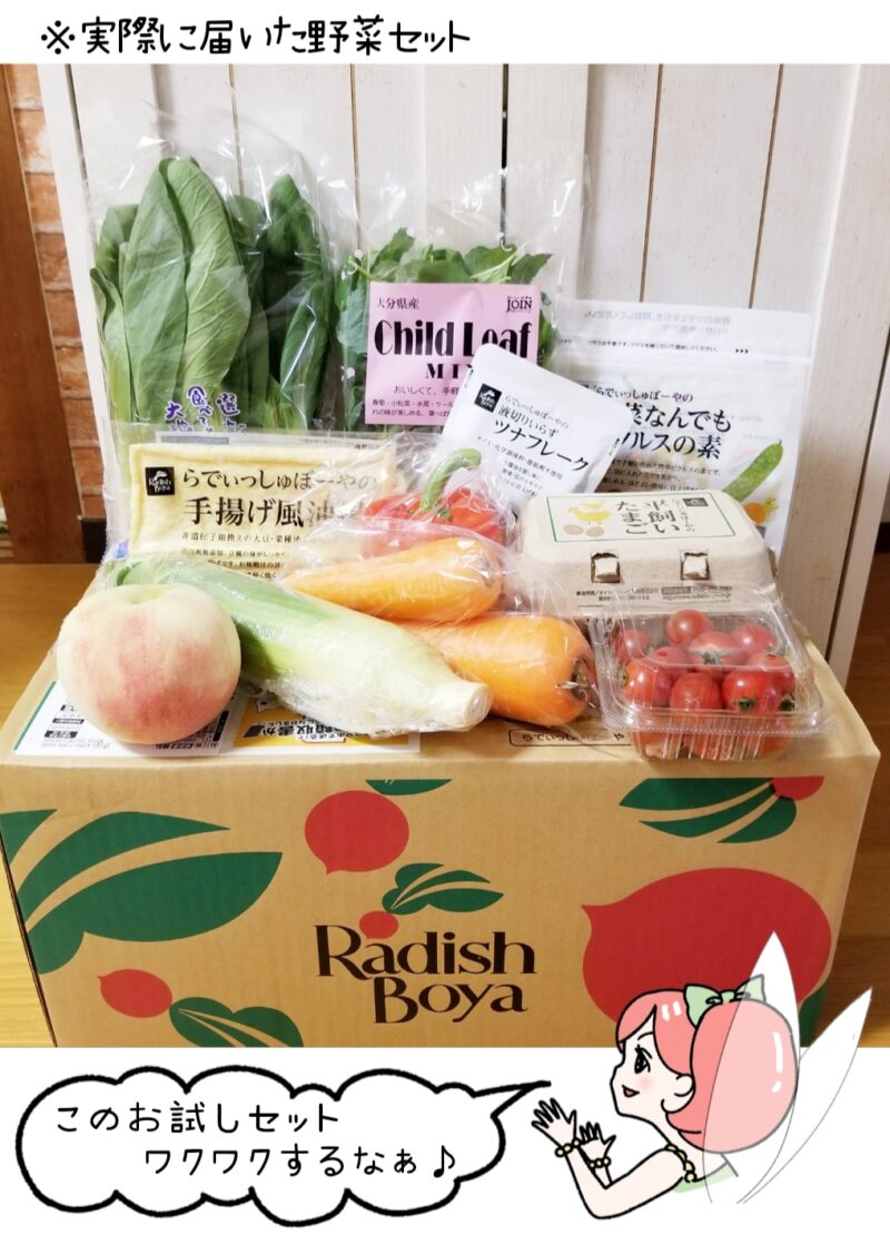 らでぃっしゅぼーやから実際に届いた野菜セットの画像とそれを見て「このお試しセット、ワクワクするなぁ♪」と笑顔の菜々ちゃんのイラスト。