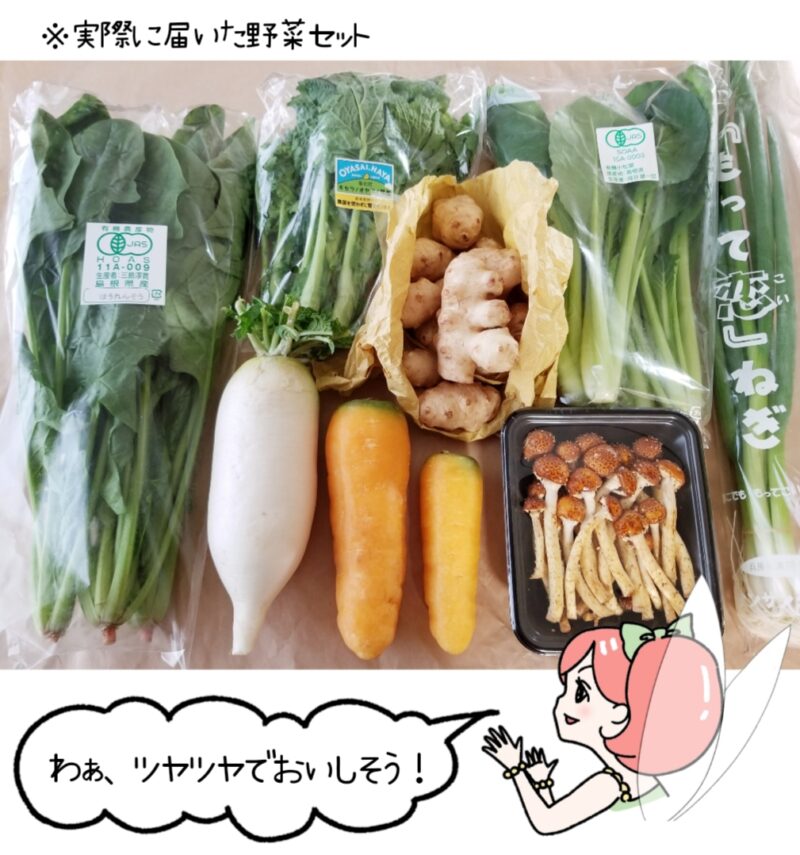 旬のお野菜セット(S)の画像。菜々ちゃんが「わあ、ツヤツヤでおいしそう！」と言っているイラスト付き。