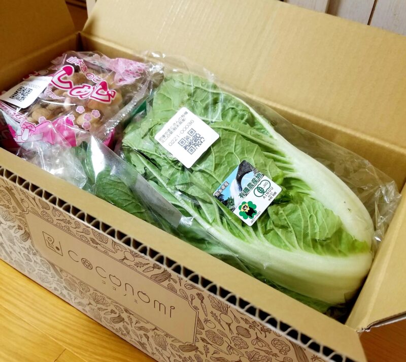 届いたばかりの野菜ボックス。段ボールのフタを開けた状態で、中に野菜が詰められている様子がわかる画像。