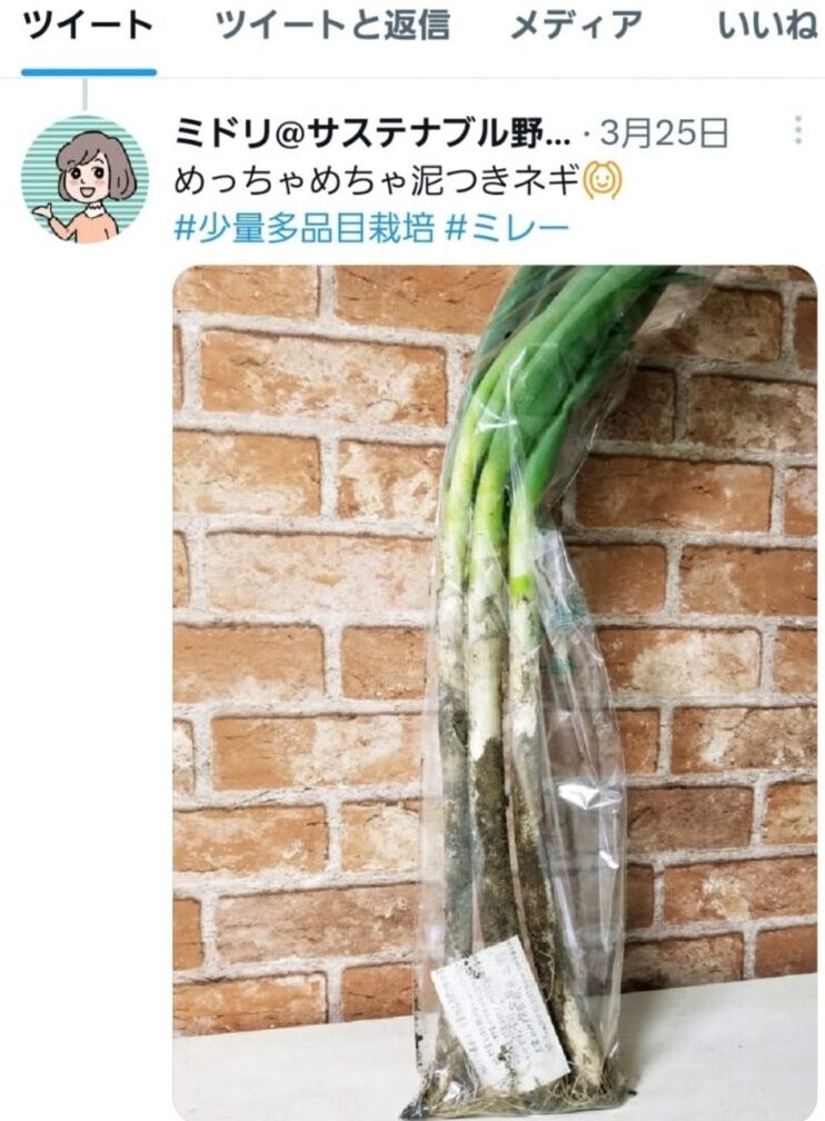 実際のツイートのスクリーンショット。「めっちゃめちゃ泥つきネギ」という文章とネギの画像。