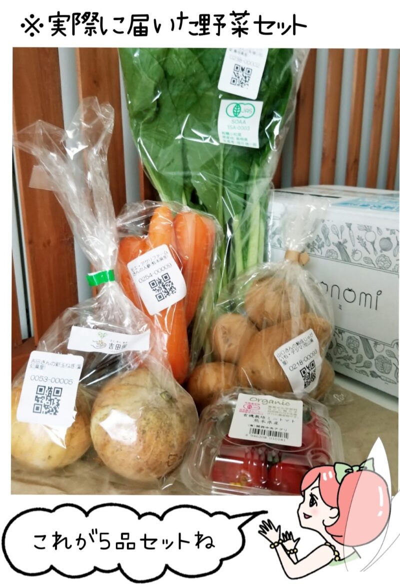 実際に届いた野菜セットの画像。それを見ながら菜々ちゃんが「これが5品セットね！」とコメントを言うイラスト付き。