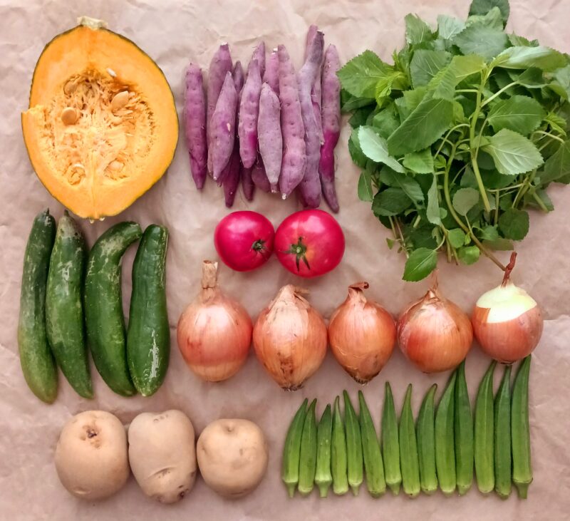 実際に届いた産地直送の野菜の画像