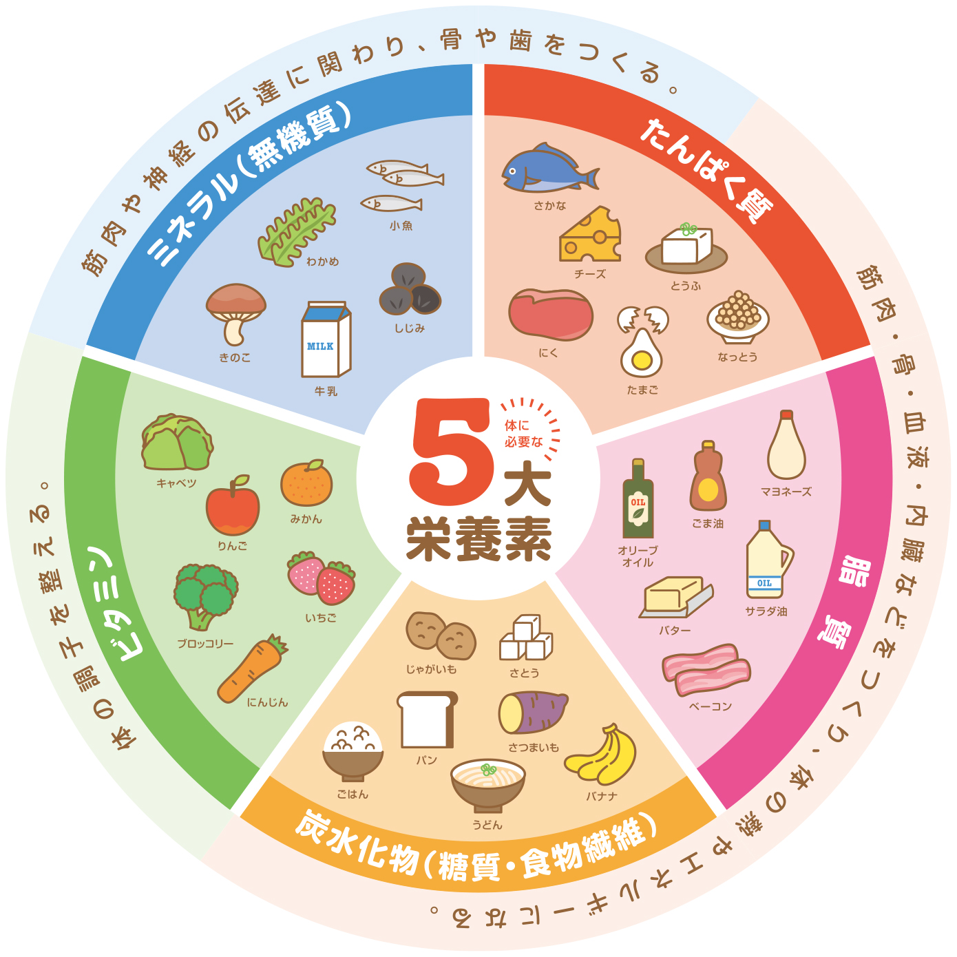 5大栄養素の図解