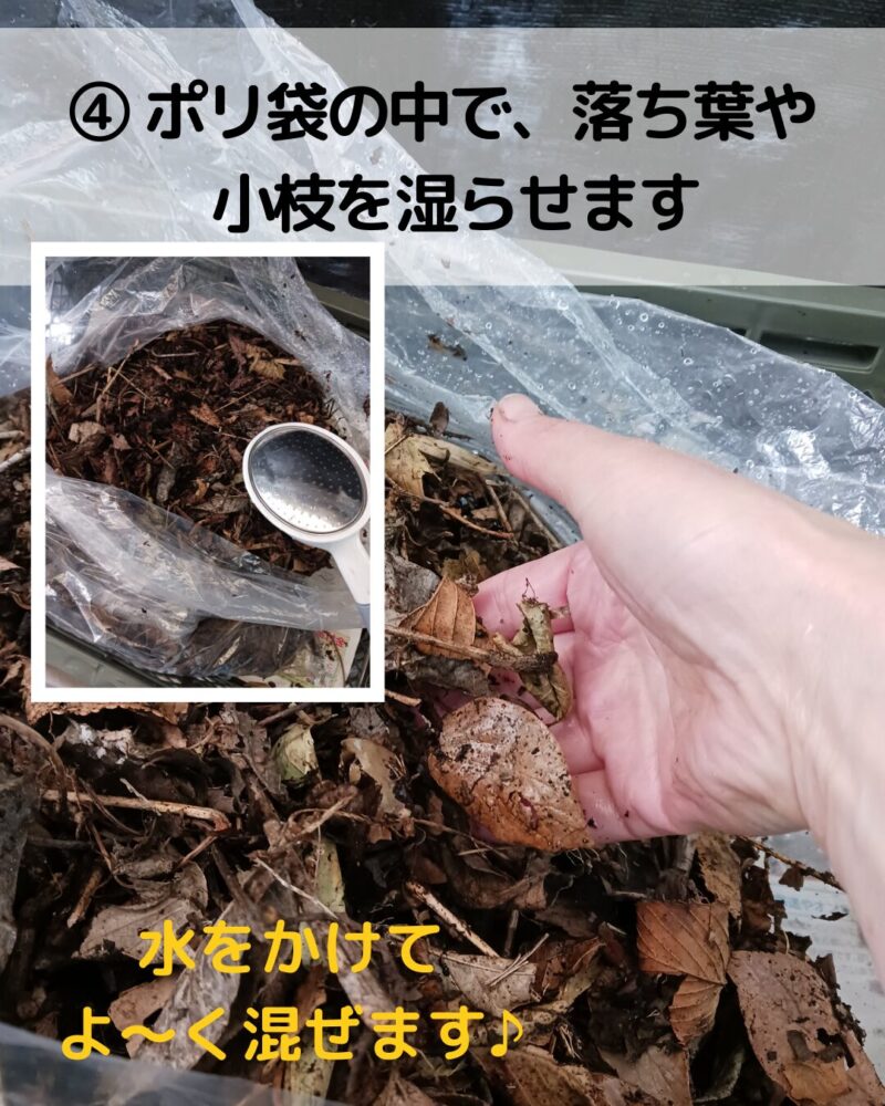 【菌ちゃん農法プランター土づくりの説明画像とそれを説明するミドリのイラスト】
④ポリ袋の中で落ち葉や小枝を湿らせます。水をかけてよく混ぜます。