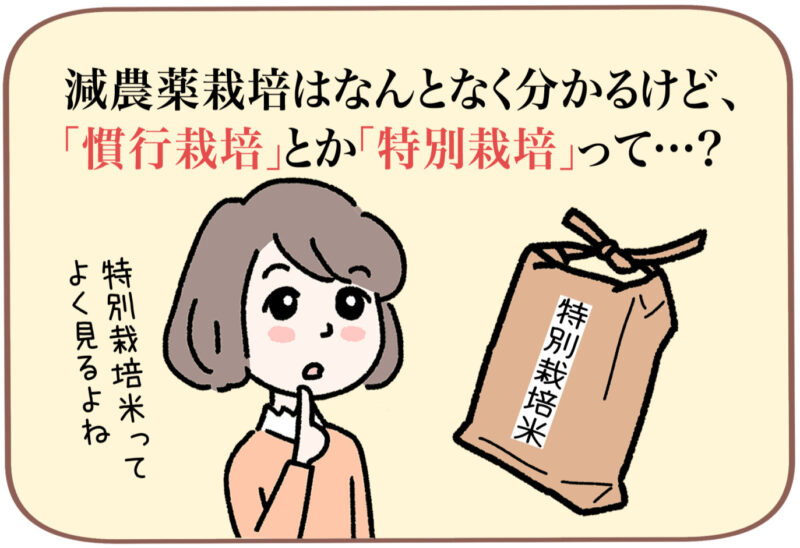 「減農薬栽培はなんとなく分かるけど、『慣行栽培』とか『特別栽培』って…？」と言うミドリ。特別栽培米のイラストとそれを見ながら「特別栽培米ってよく見るよね」とつぶやいている。