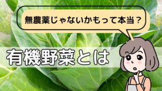 有機野菜とは？マンガ入りでわかりやすく解説！
