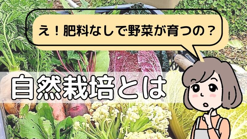 【マンガ入り】自然栽培とは？購入するメリット・デメリットも分かりやすく解説 