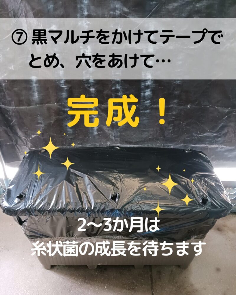 【菌ちゃん農法プランター土づくりの説明画像とそれを説明するミドリのイラスト】
⑦黒マルチをかけて、テープで留めて、穴を開けて完成です。2~3か月は糸状菌の成長を待ちます。