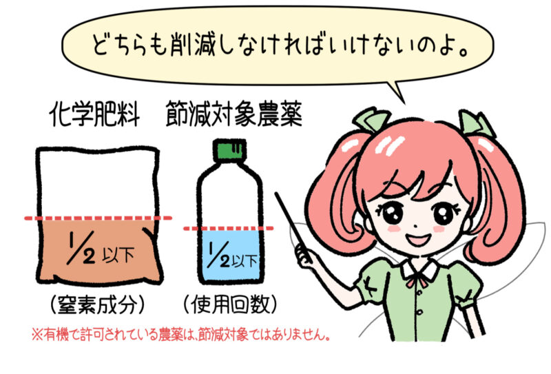 化学肥料の窒素成分が2分の１以下、削減対象農薬の使用回数も2分の１以下ということをイラストで分かりやすく説明。菜々ちゃんがそれを指しながら「どちらも削減しなければいけないのよ。」と言っている。