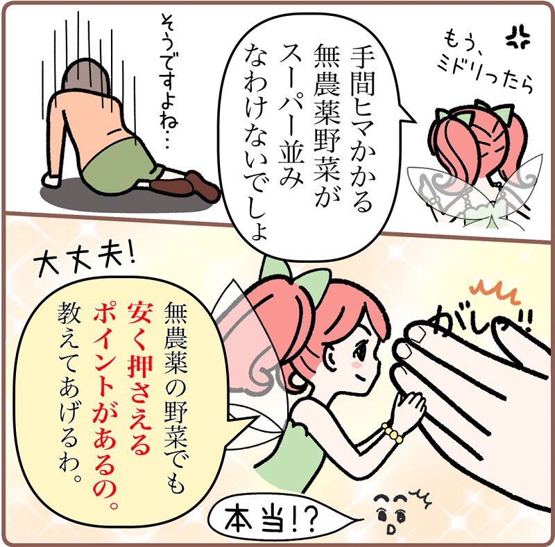 ＜マンガ3コマ目＞
菜々ちゃん「もう、ミドリったら。手間ヒマかかる無農薬野菜がスーパー並みなわけないでしょ。」ミドリはうなだれて「そうですよね…」と答える。菜々ちゃんはミドリの手をがしっと握り、「大丈夫！無農薬の野菜でも安く抑えるポイントがあるの。教えてあげるわ。」と励ます。ミドリは「本当！？」と問い返す。