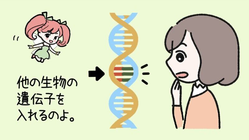 【入門編】遺伝子組み換え作物のメリットやデメリットを徹底解説 