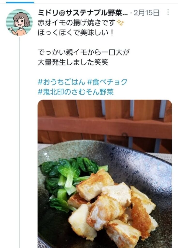 実際のツイートのスクリーンショット。「赤芽イモの揚げ焼きです。ほっくほくで美味しい！でっかい親イモから一口大が大量発生しました笑笑」という文章と料理の画像。