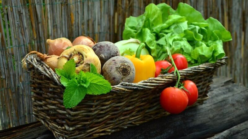 【2025年】無農薬・有機野菜宅配おすすめ9選!目的別であなたにピッタリが見つかる