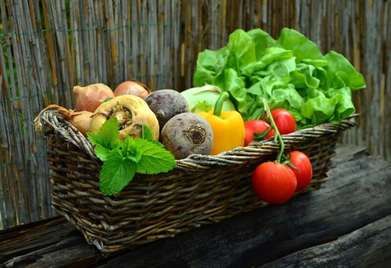 【2025年】無農薬・有機野菜宅配おすすめ9選！目的別であなたにピッタリが見つかる