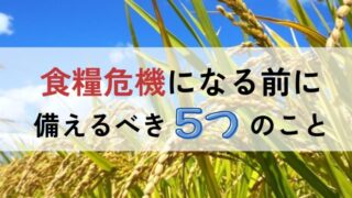 食糧危機を生き抜く！個人でできる5つの対策 