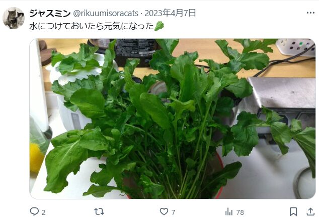 Xの口コミのスクリーンショット「「水につけて置いたら元気になった!」と書かれている。