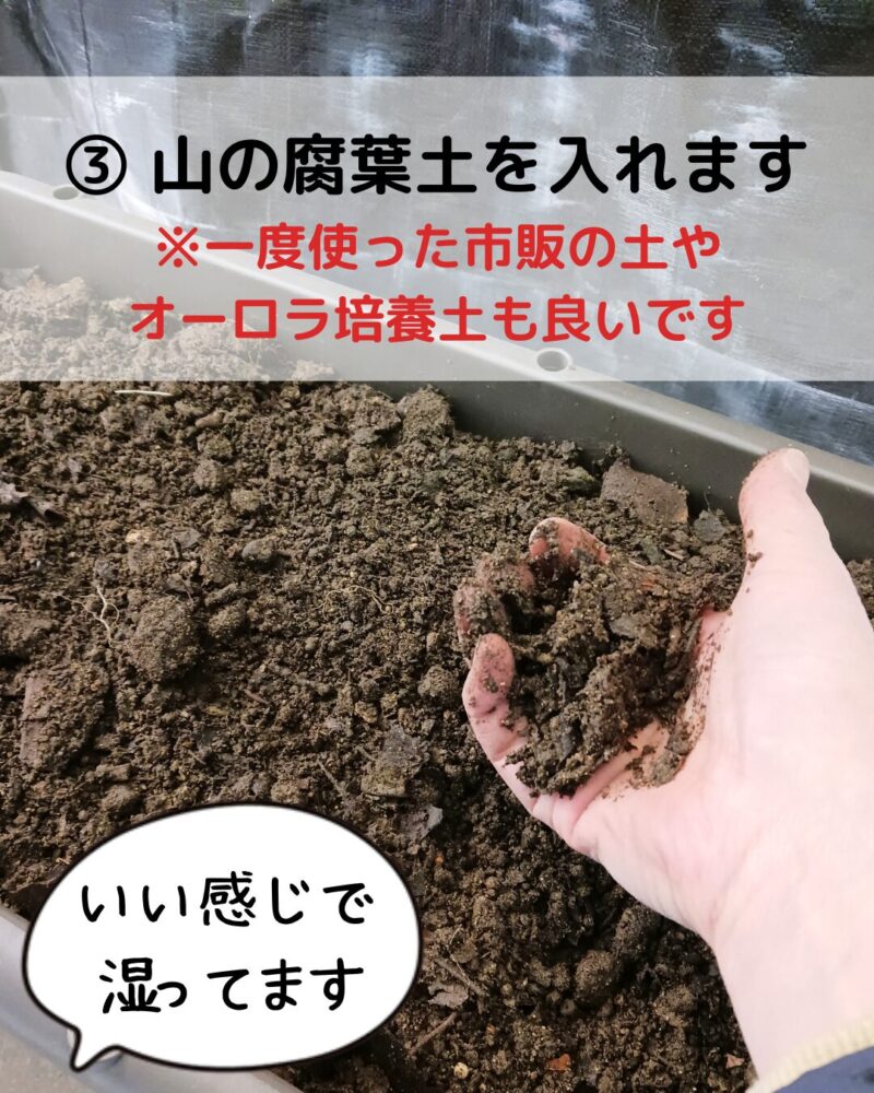 【菌ちゃん農法プランター土づくりの説明画像とそれを説明するミドリのイラスト】
③山の腐葉土を入れます。※一度つかった市販の土やオーロラ培養土も良いです。(この画像の土はいい感じに湿っています)