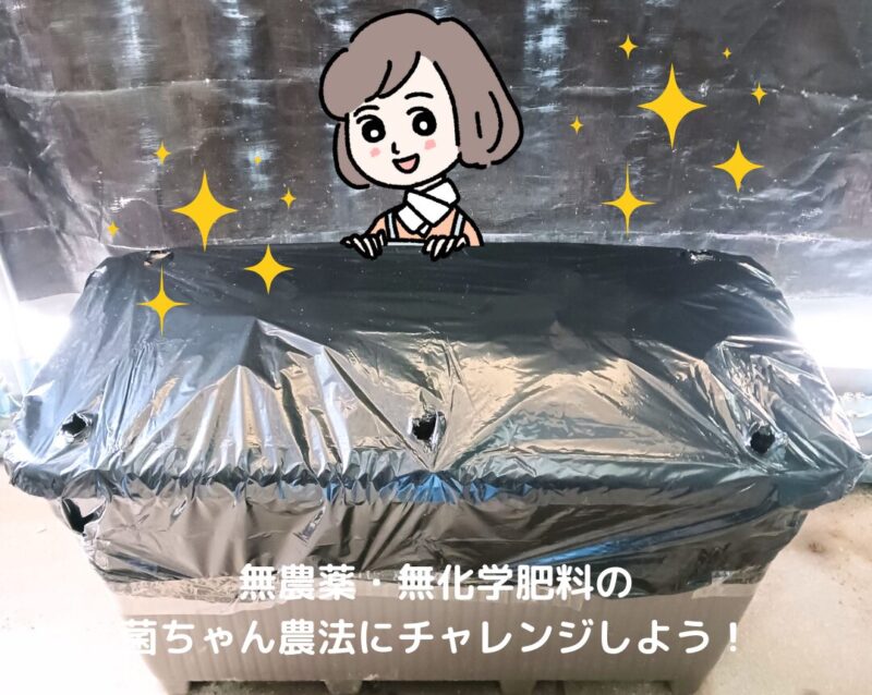 菌ちゃん農法で土づくりをしたプランターの画像と、それを紹介するミドリのイラスト。